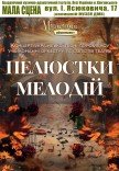 Концерт украинской песни «Лепестки мелодий»